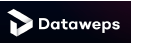 Dataweps 标志