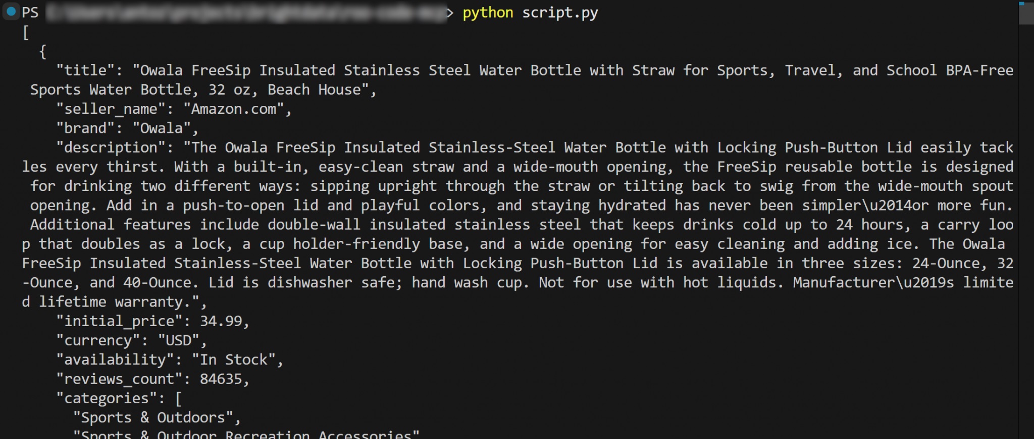 生成的 Python 脚本输出