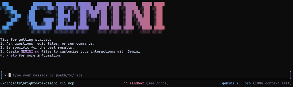 Gemini CLI 提示界面