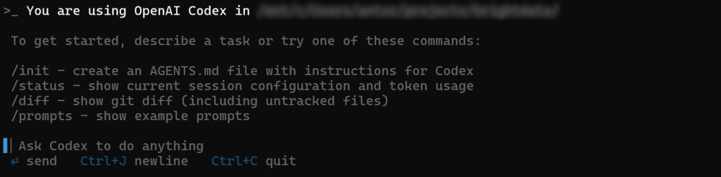 OpenAI Codex CLI 的提示界面
