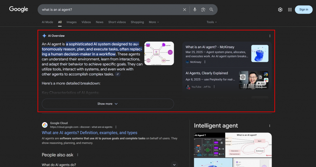 Google AI Overview 示例