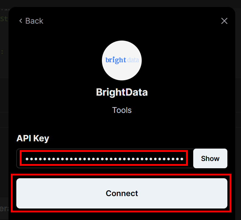 粘贴 Bright Data API 密钥并点击“Connect”