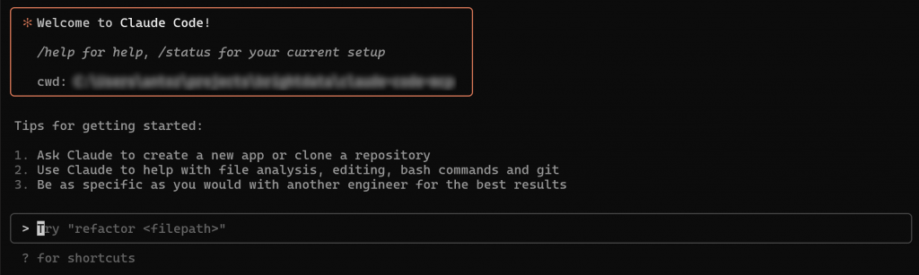Claude Code CLI