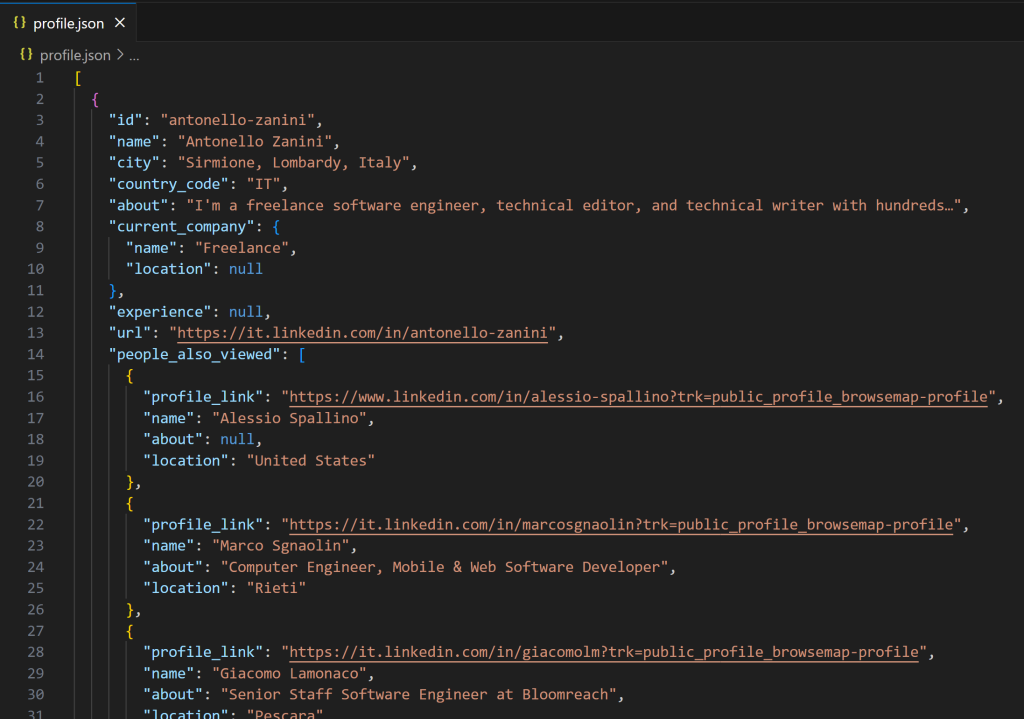 VS Code 中的 profile.json