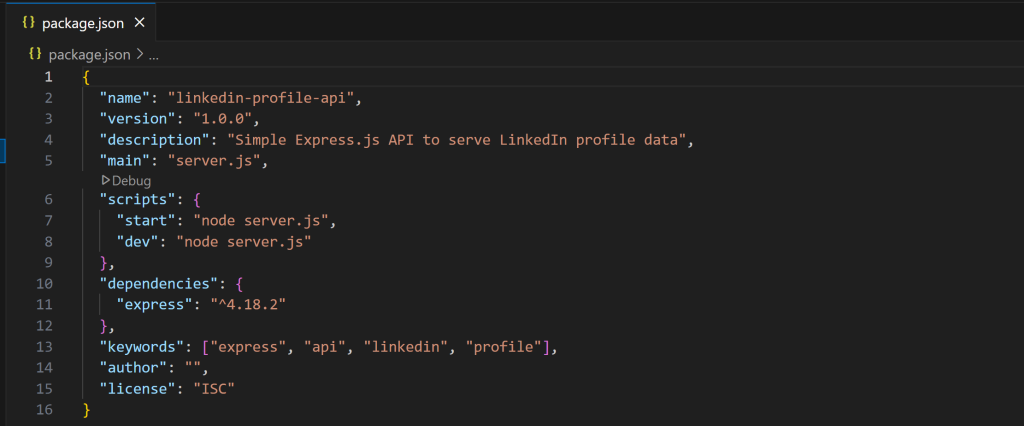 VS Code 中的 package.json