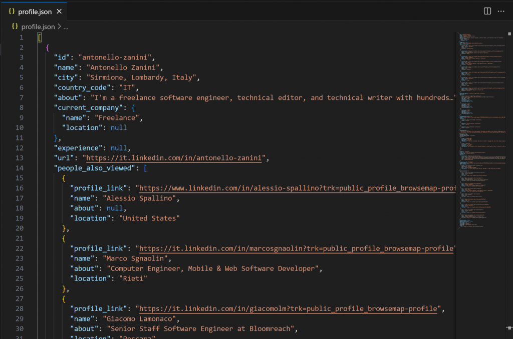 VS Code 中的 profile.json