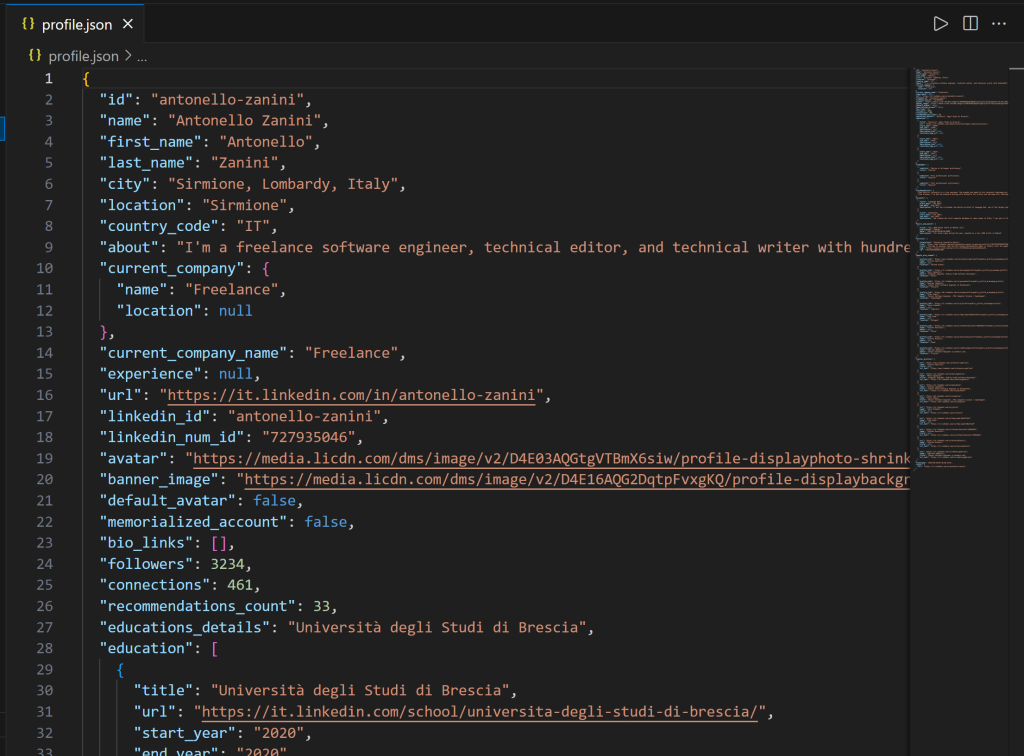在 VSC 中查看 profile.json