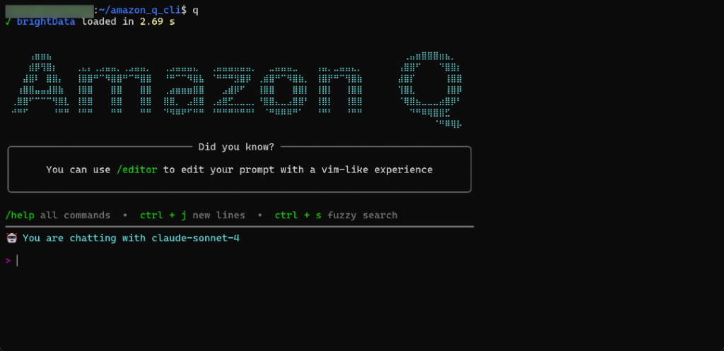 在 Amazon Q Developer CLI 中执行任务