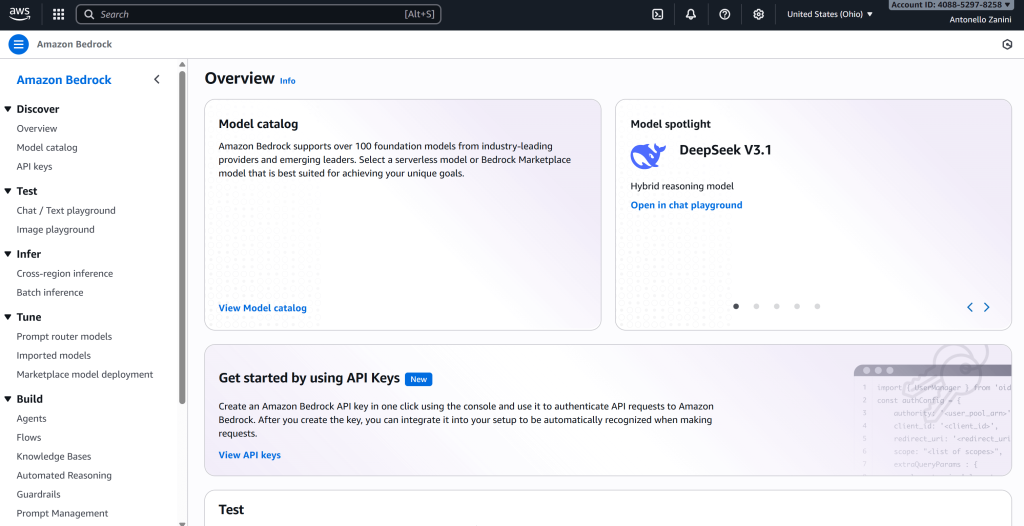 进入 Amazon Bedrock 控制台