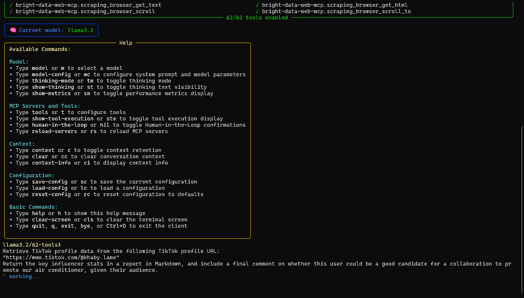 ollmcp 执行提示词