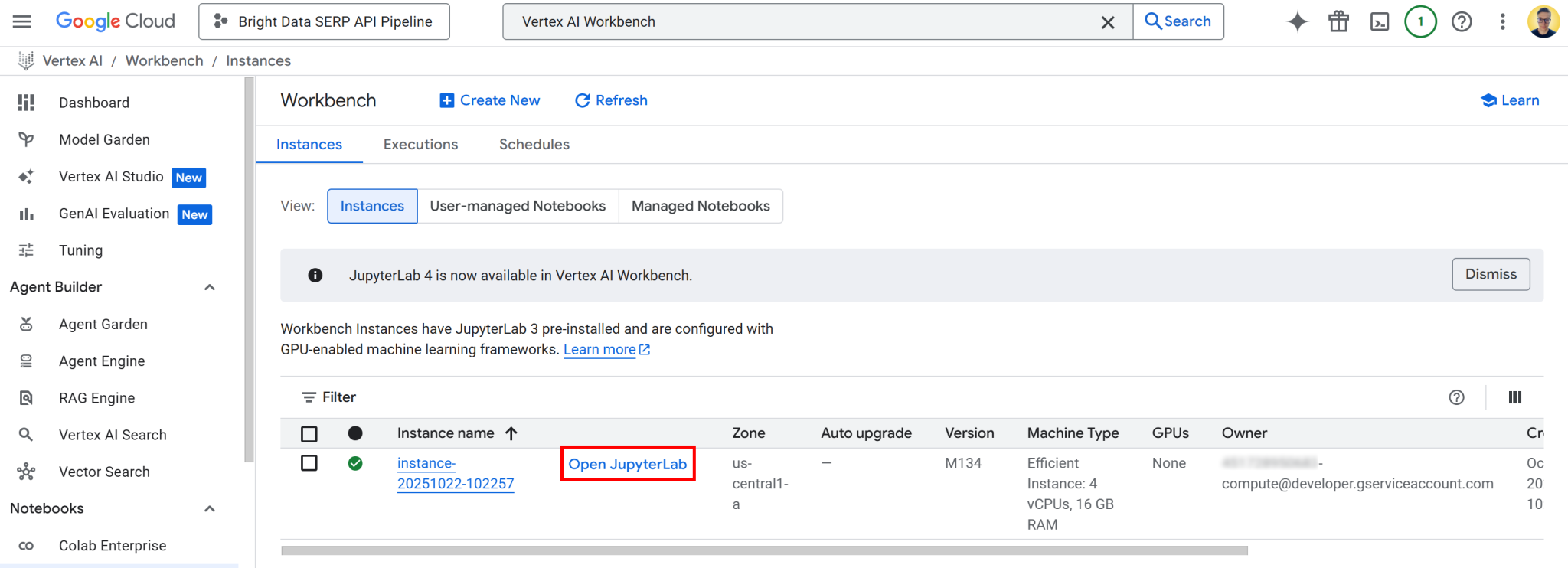 访问“打开 JupyterLab” 链接