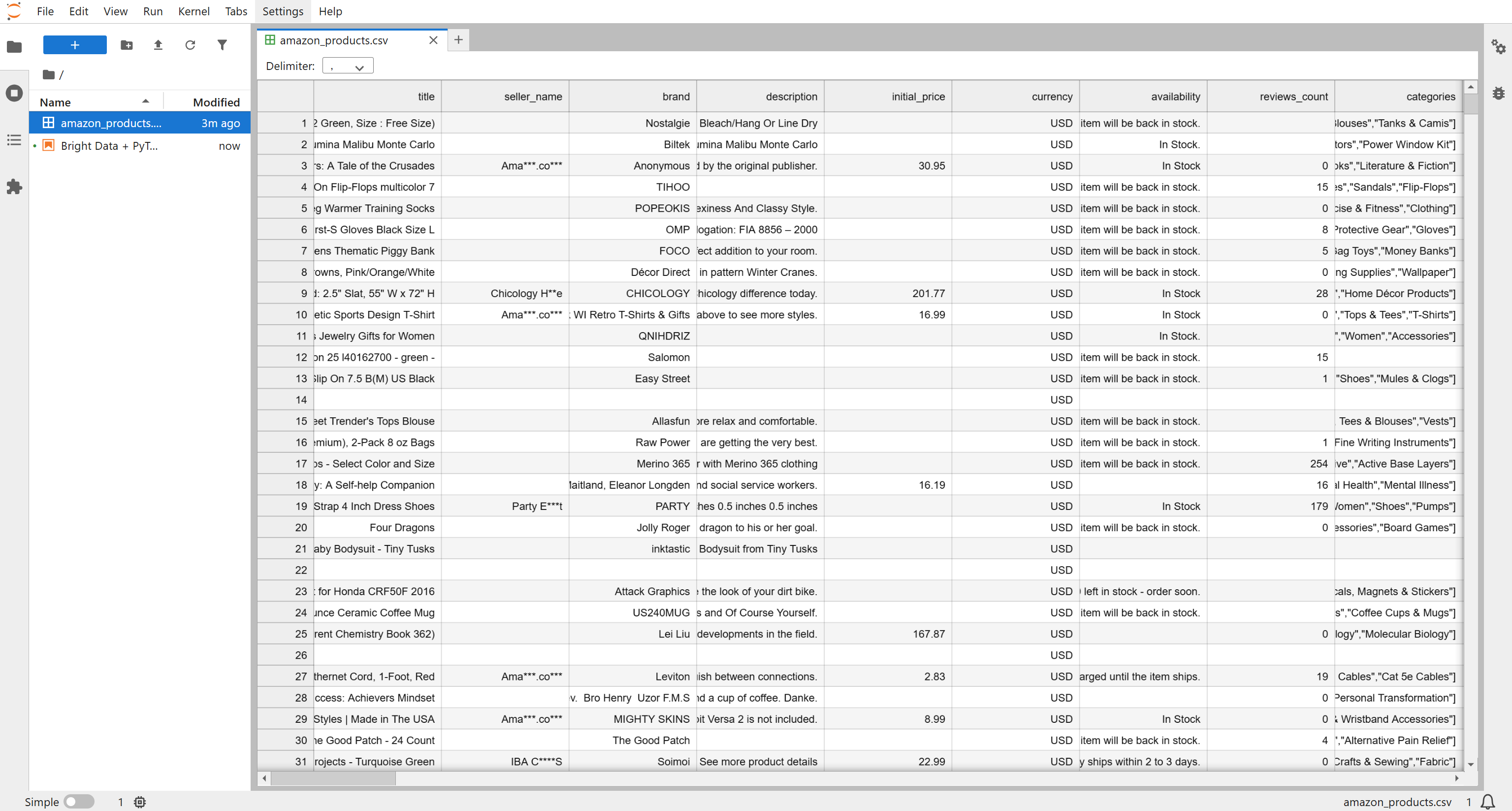 在 JupyterLab 中查看 amazon_products.csv 文件