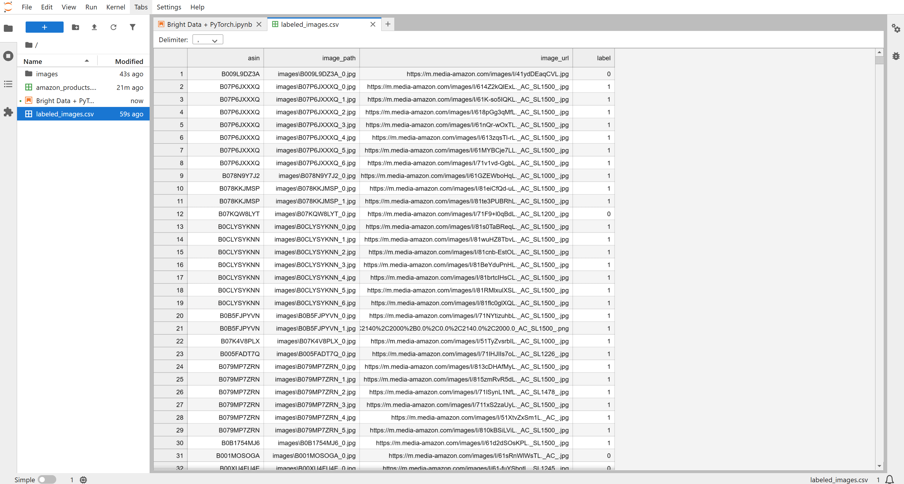 注意“labeled_images.csv” 文件中的标注信息