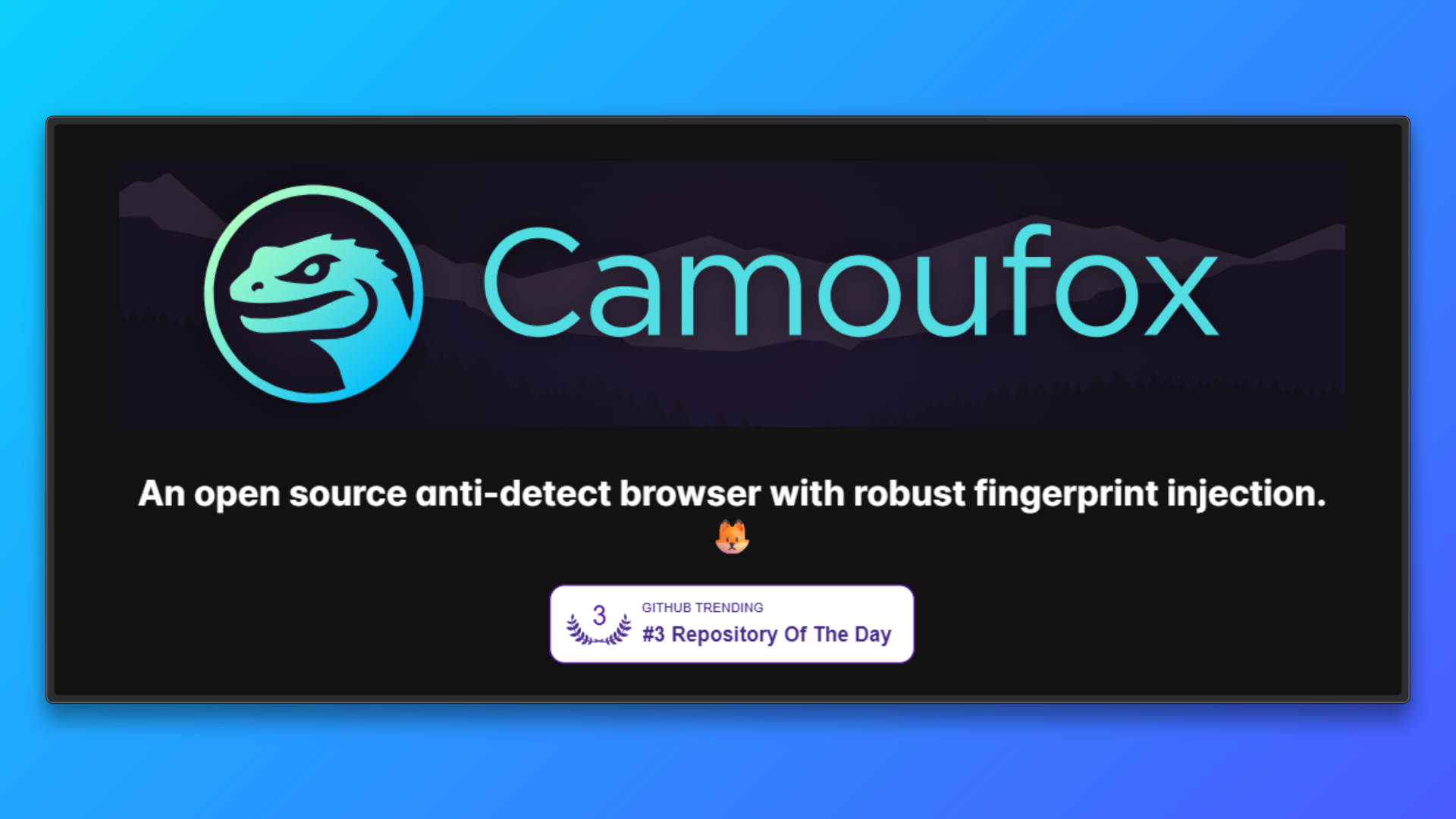 Camoufox 反检测浏览器
