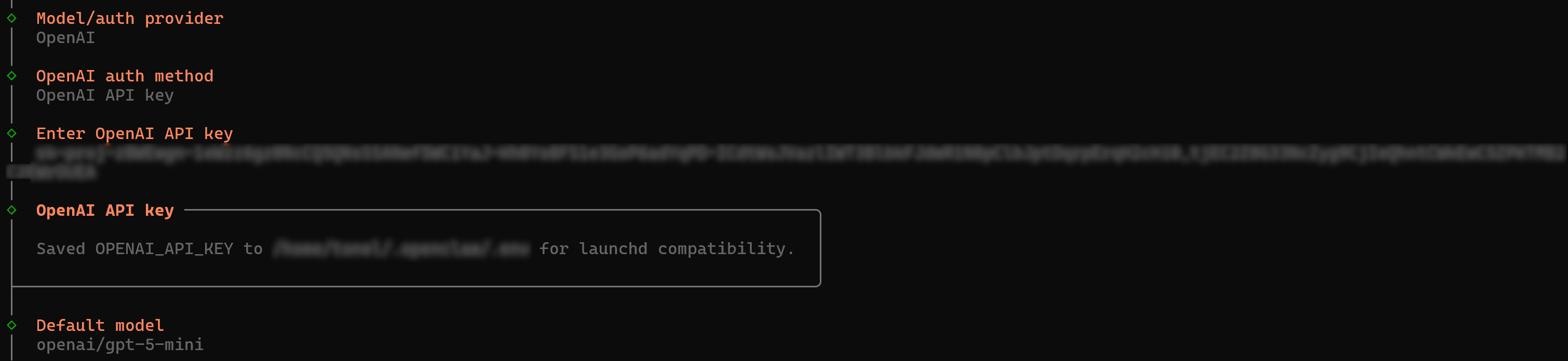 配置 LLM 提供商