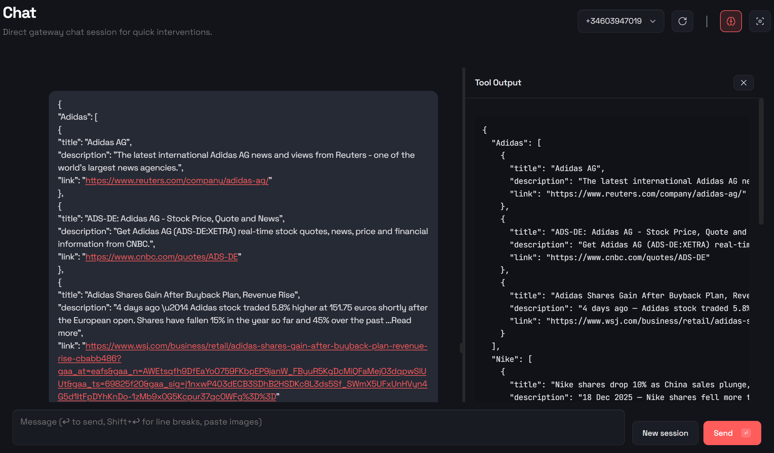 SERP API 调用的工具输出