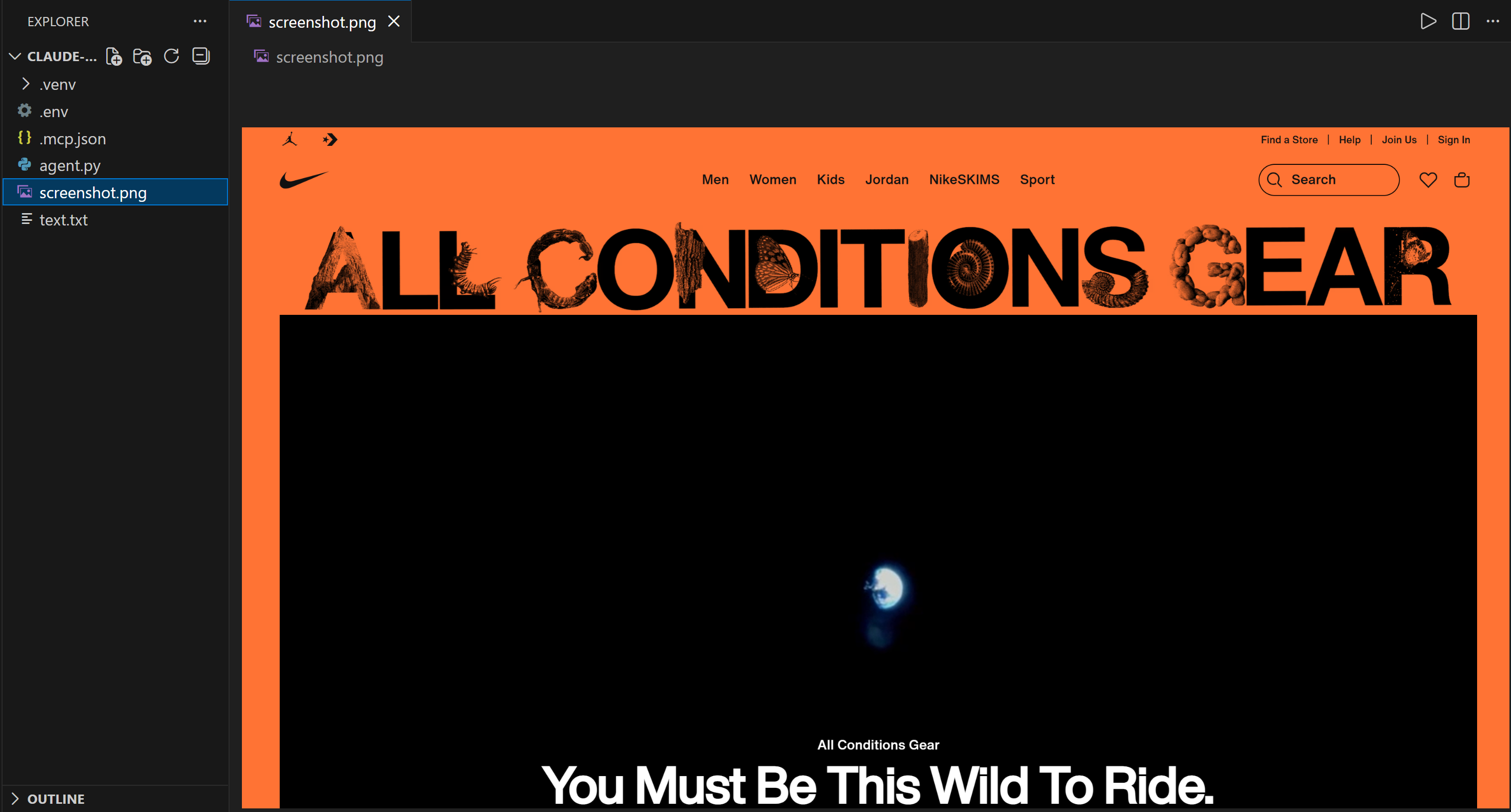 注意：由智能体截取的 Nike 首页截图