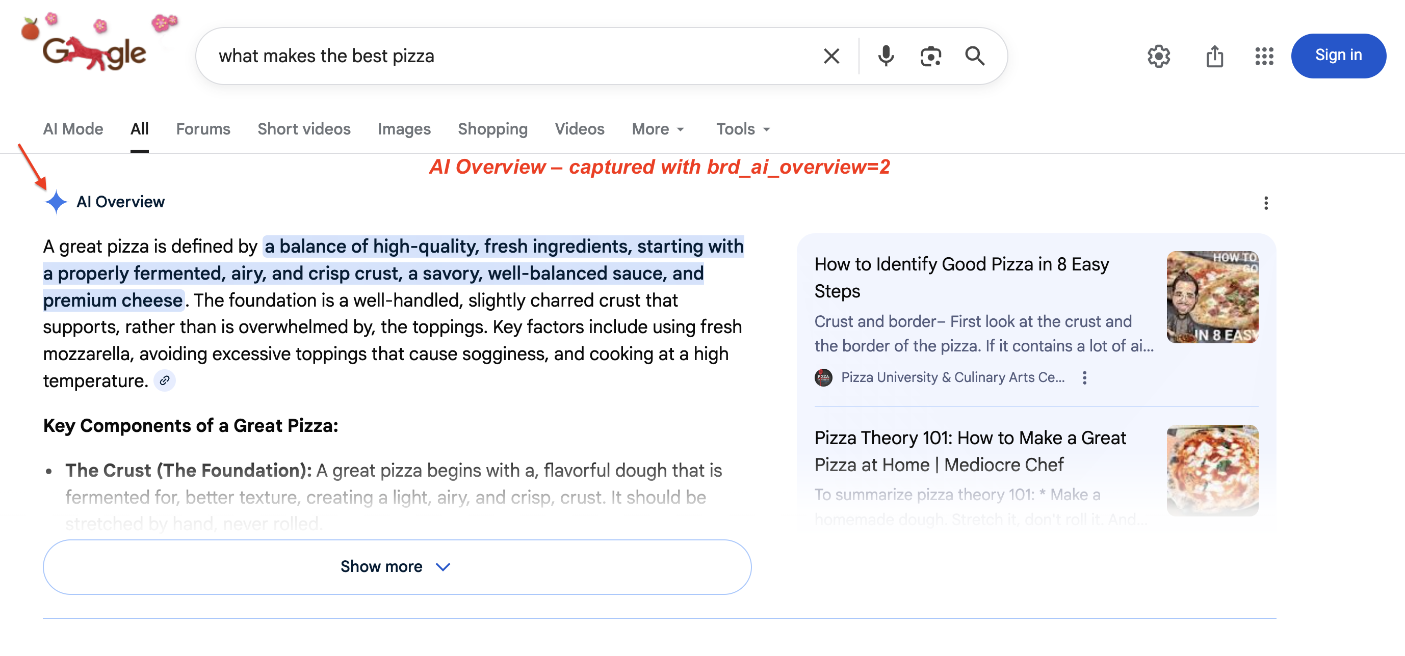 关于“what makes the best pizza”的 Google AI Overview，展示 AI 生成摘要与来源卡片
