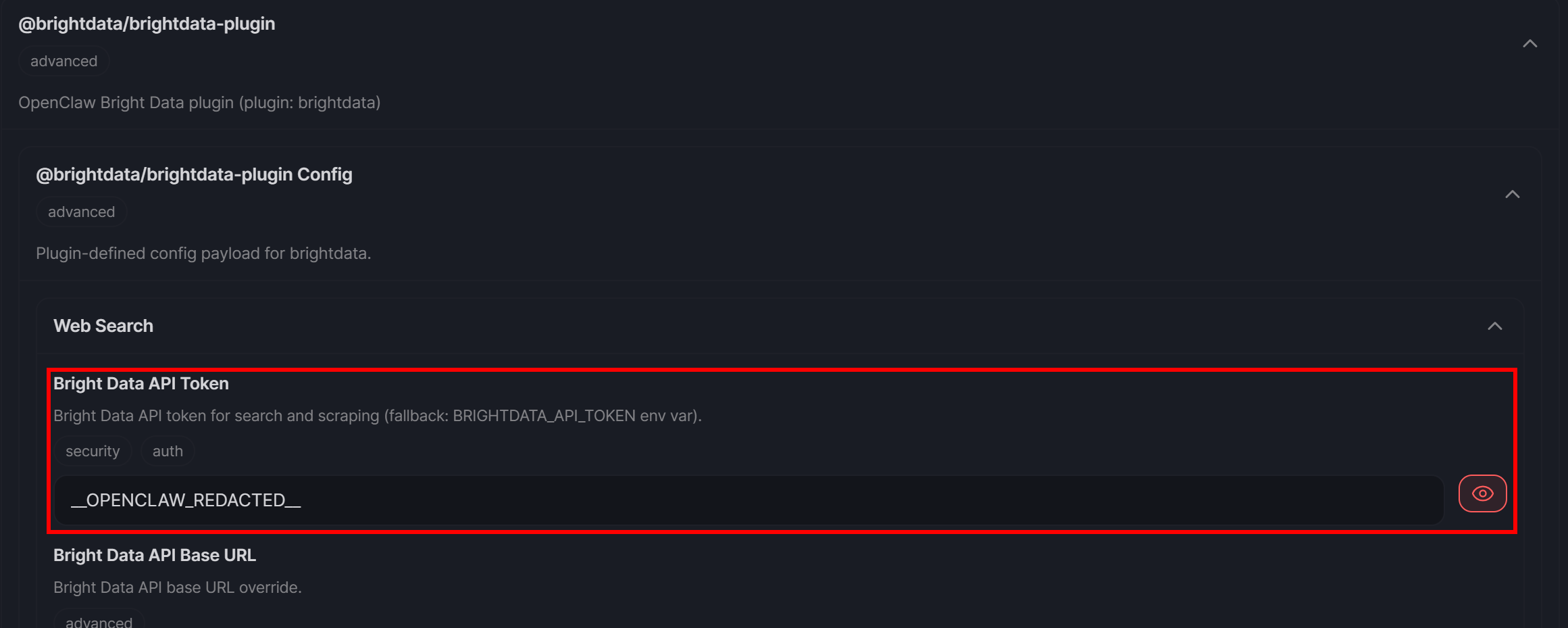 注意 “Bright Data API Token” 配置