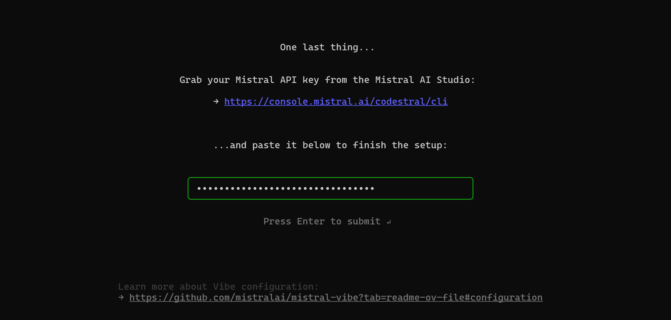 粘贴你的 Mistral API key