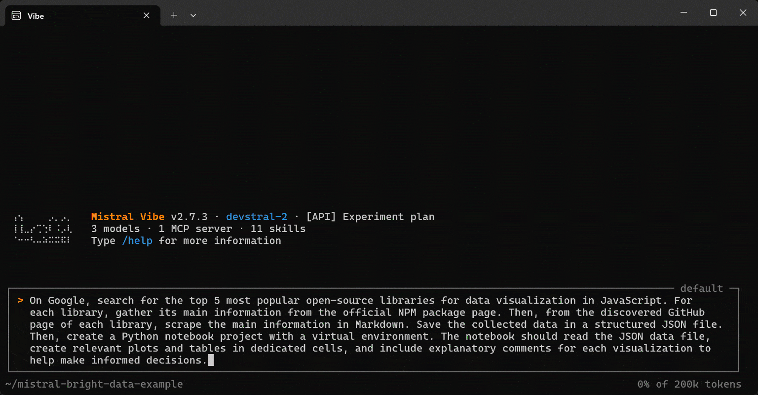 在 Mistral Vibe 中执行提示