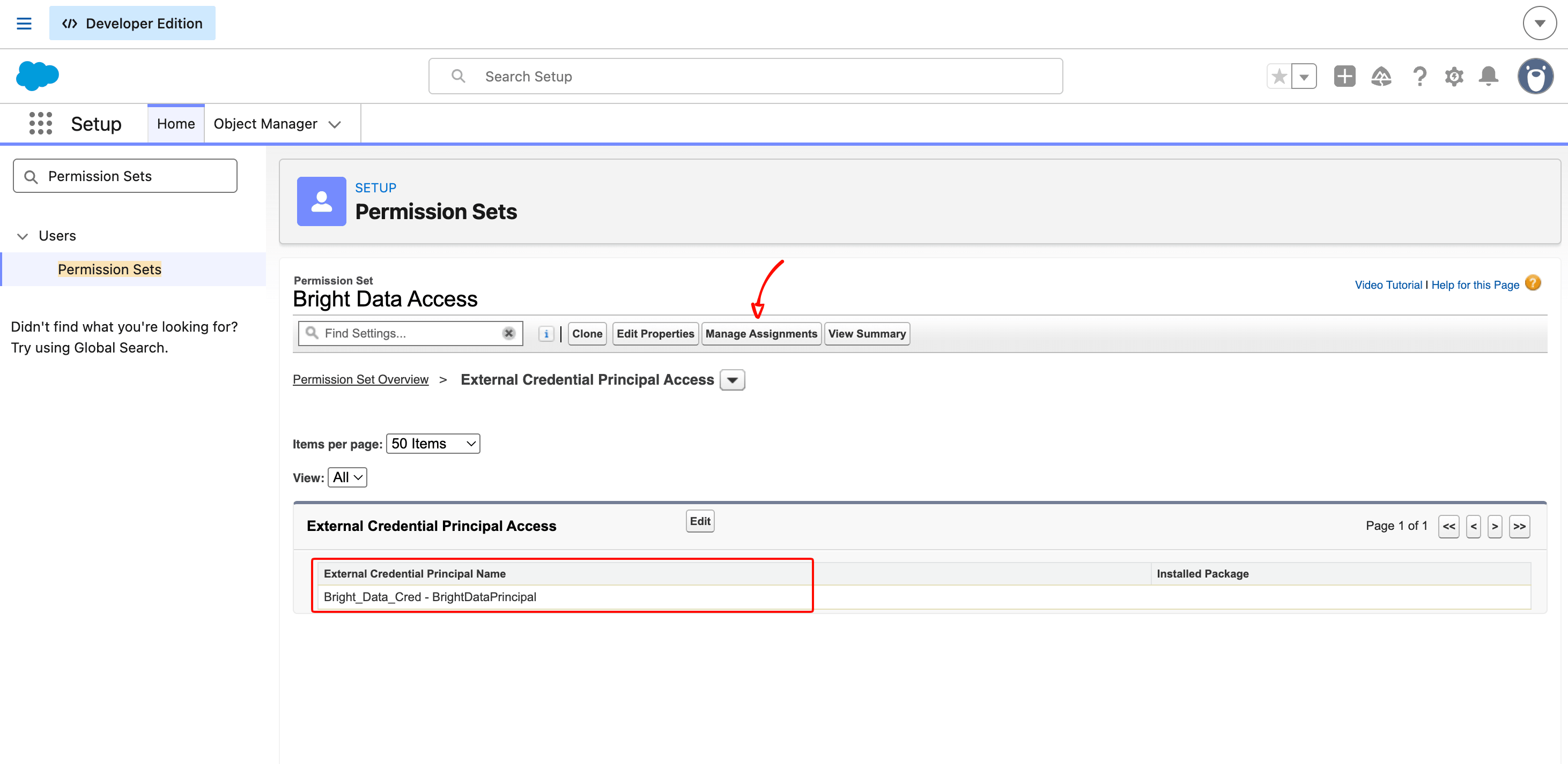 Salesforce Permission Set 'Bright Data Access' 显示 External Credential Principal Access 部分,Bright_Data_Cred - BrightDataPrincipal 已授权,页面顶部可见 Manage Assignments 按钮