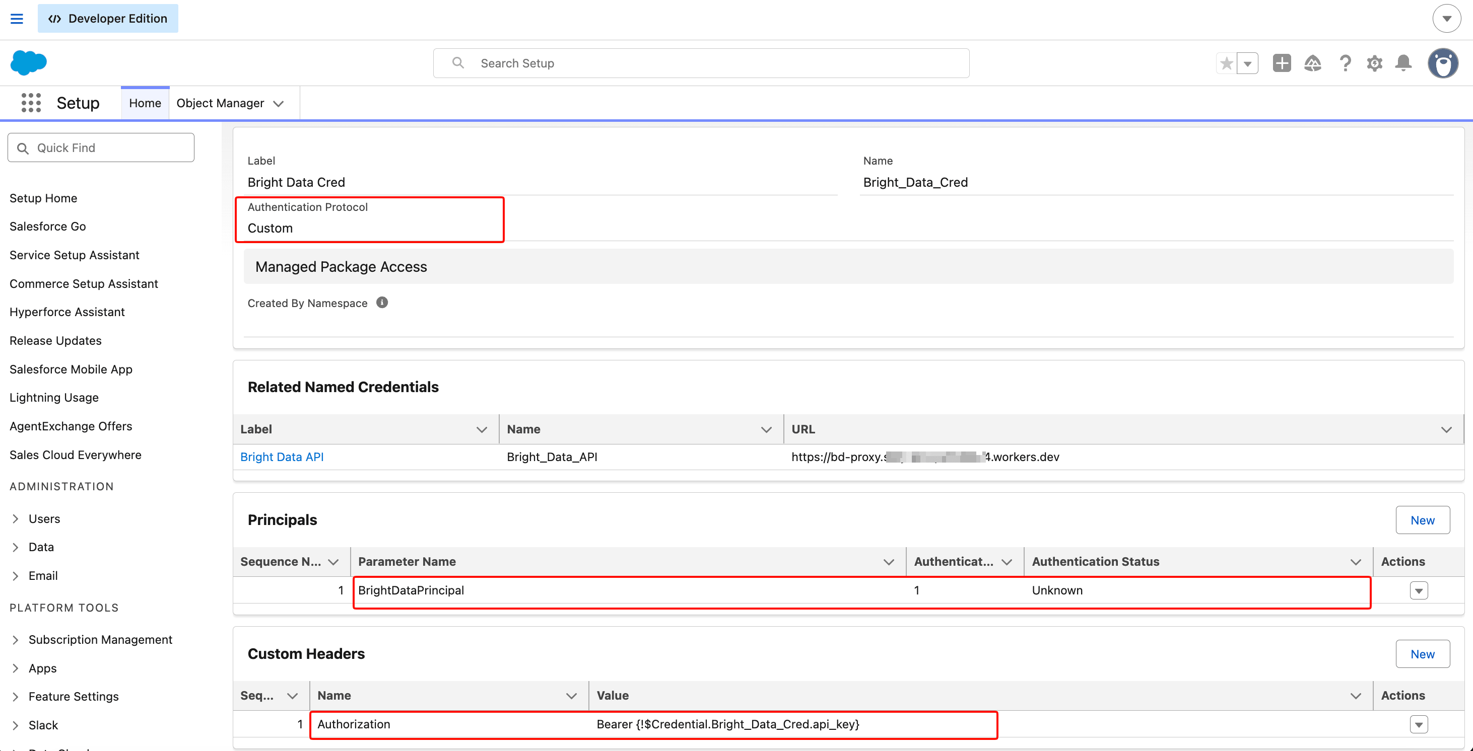 Salesforce Setup 显示 Bright_Data_Cred External Credential 详情页,Authentication Protocol 设为 Custom,一个名为 BrightDataPrincipal 的 Principal,以及值为 'Bearer {!$Credential.Bright_Data_Cred.api_key}' 的 Custom Header