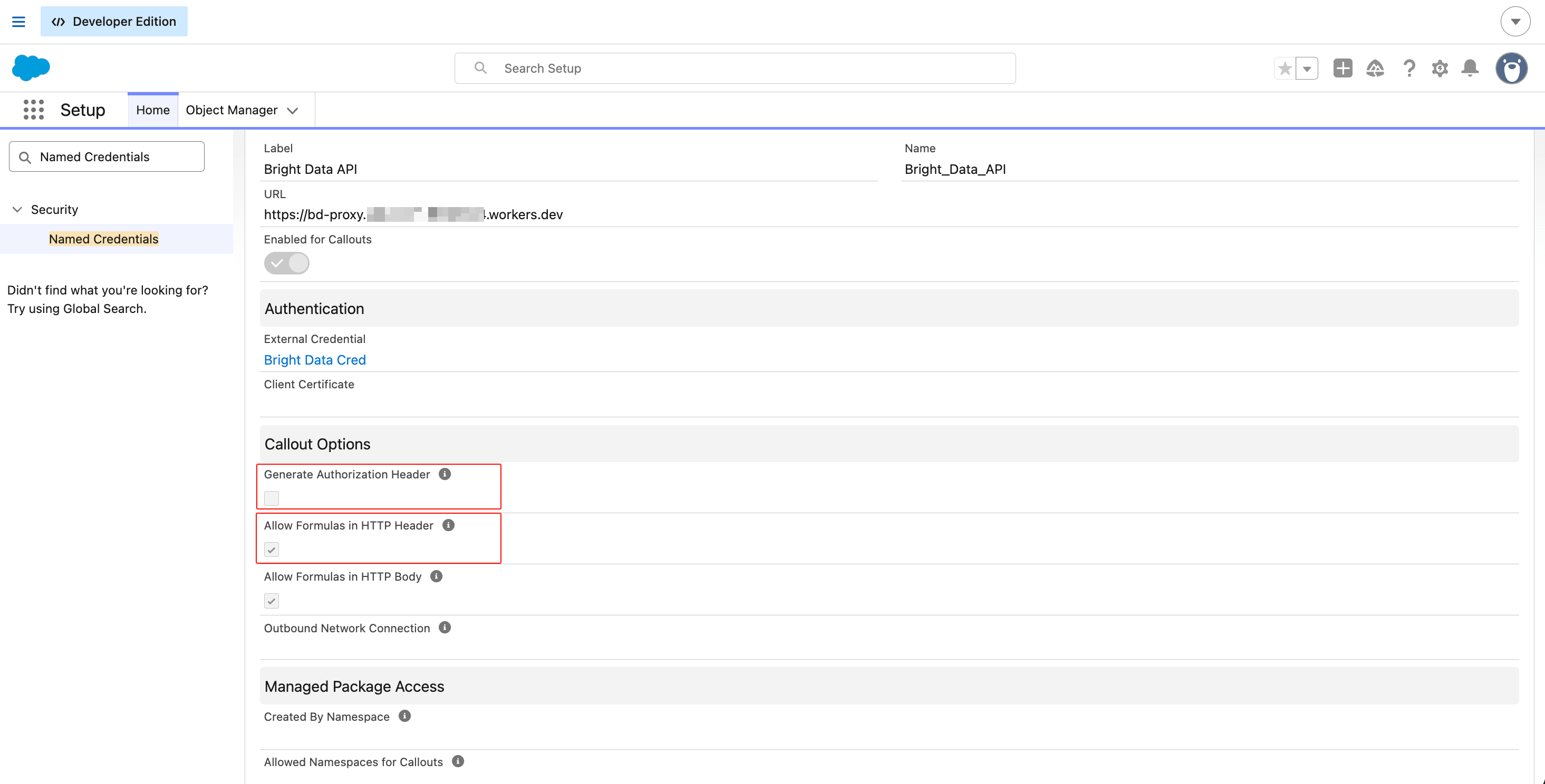 Salesforce Named Credential 'Bright Data API' 详情页,显示 URL 指向 Cloudflare Worker,External Credential 设为 Bright Data Cred,Generate Authorization Header 未勾选,Allow Formulas in HTTP Header 已勾选,Allow Formulas in HTTP Body 已勾选