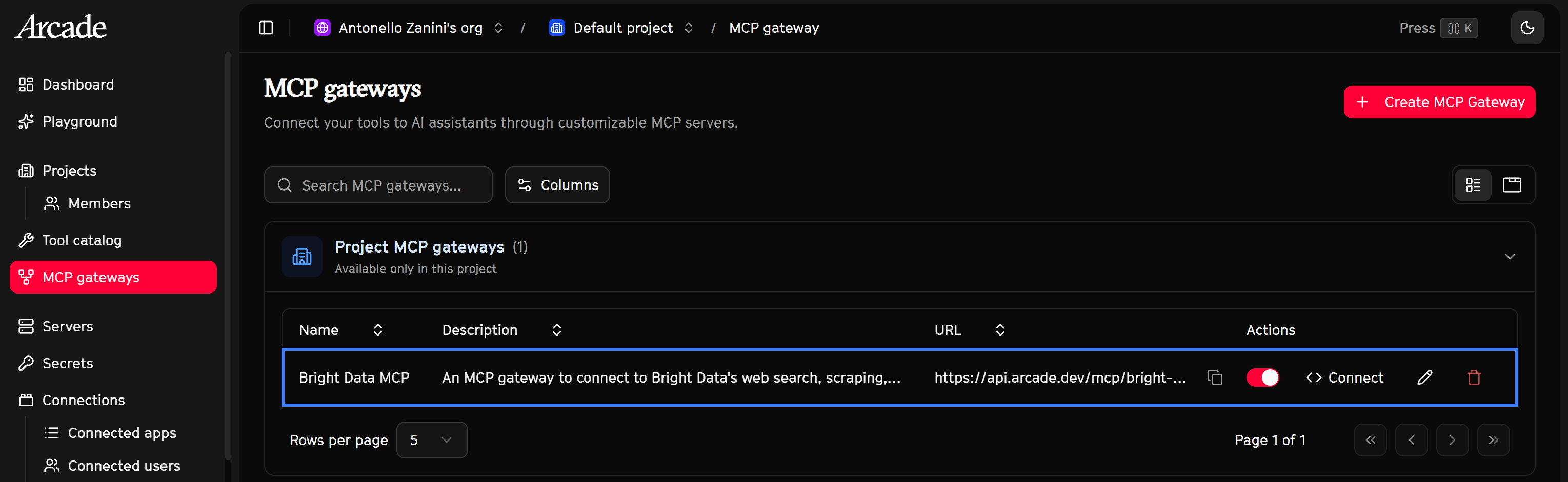 注意 “Bright Data MCP” 条目