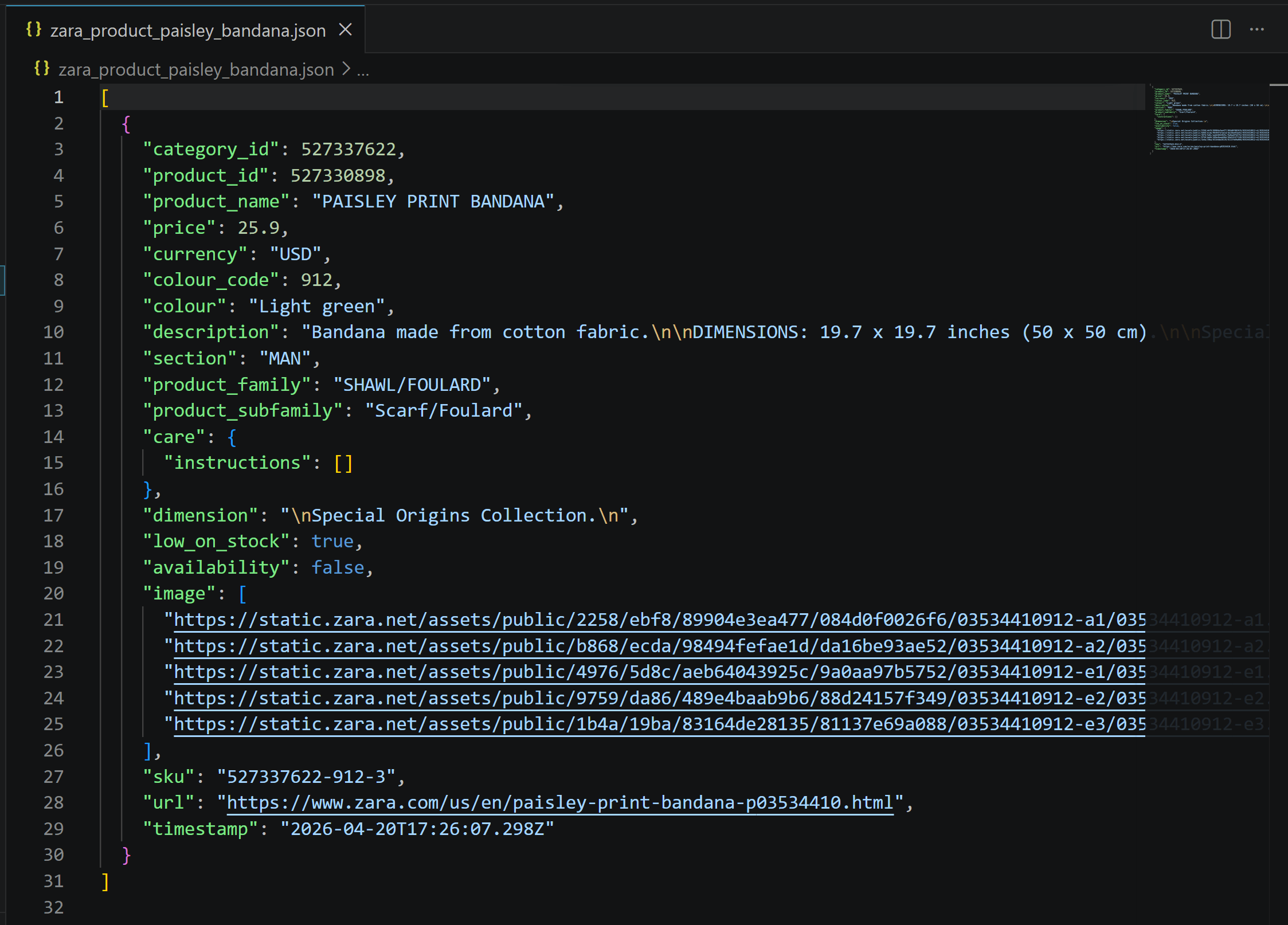 生成的 JSON 文件