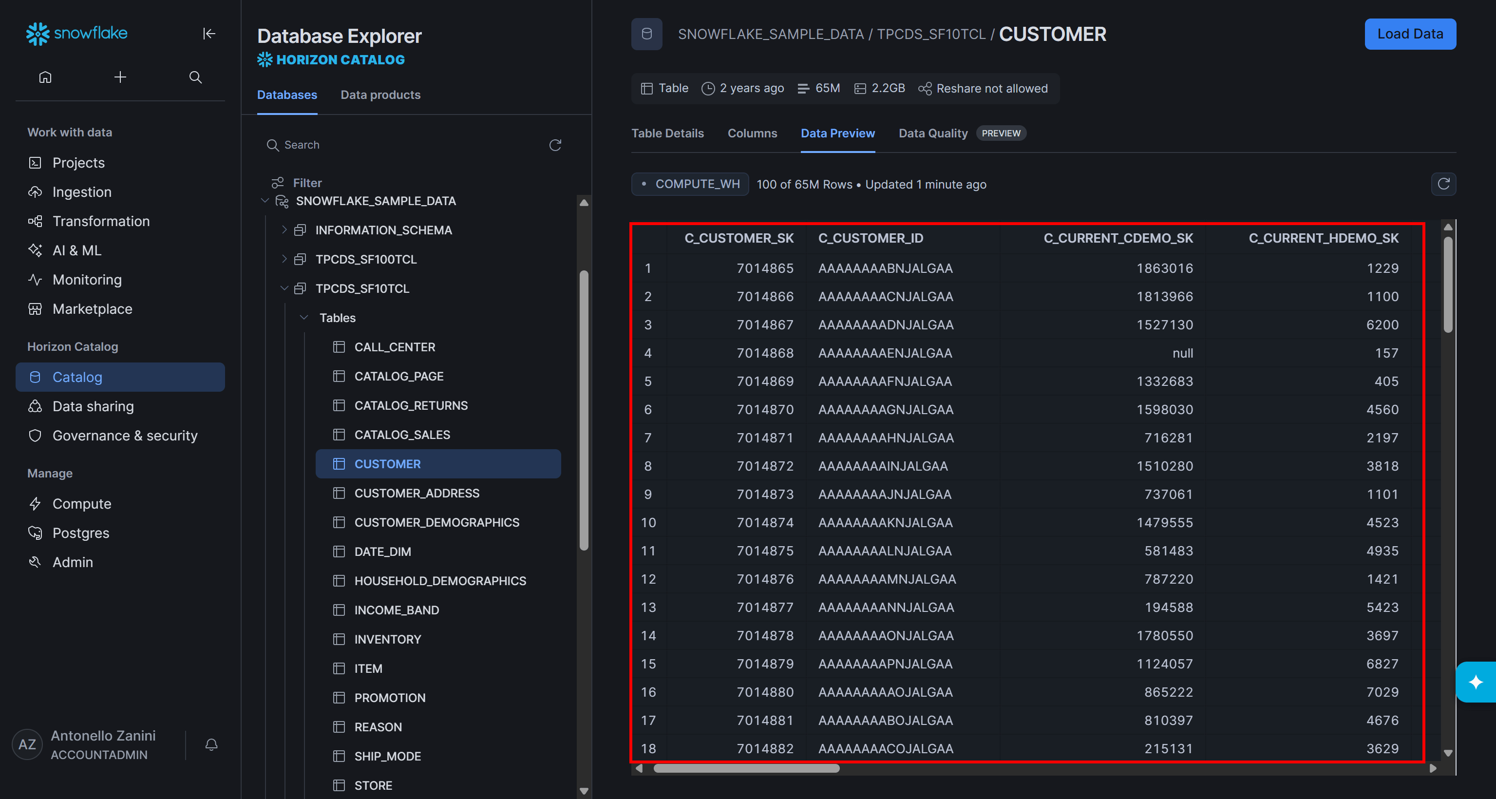 示例 “SNOWFLAKE_SAMPLE_DATA.TPCDS_SF10TCL.CUSTOMER” 表中的数据
