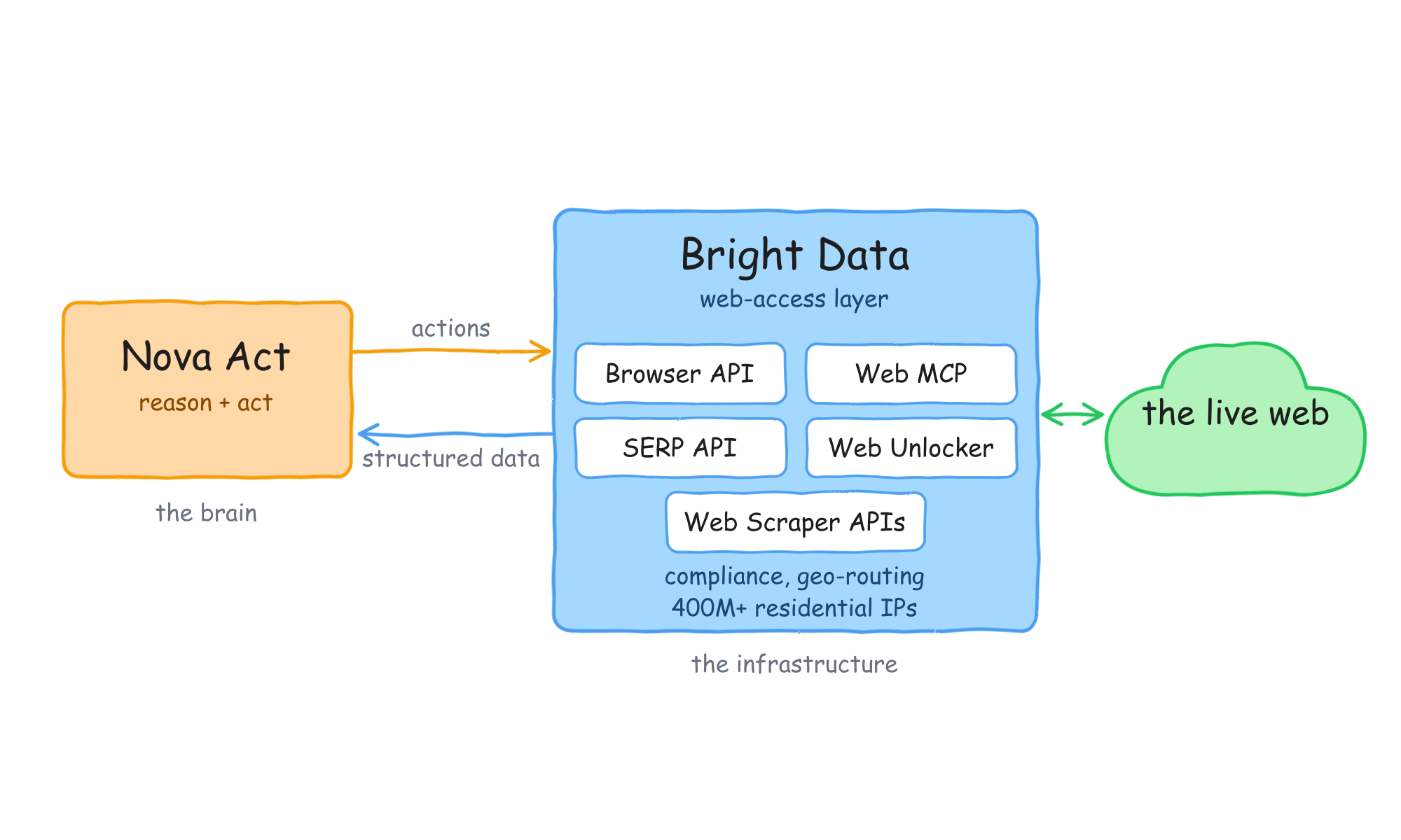 架构图：Nova Act（大脑）向 Bright Data 的网页访问层发送操作，并接收结构化数据返回。该层提供浏览器 API、Web MCP、搜索引擎 API、网络解锁器和网页爬虫工具 API，以及合规、地理路由和 4 亿+住宅 IP，并访问实时网页。