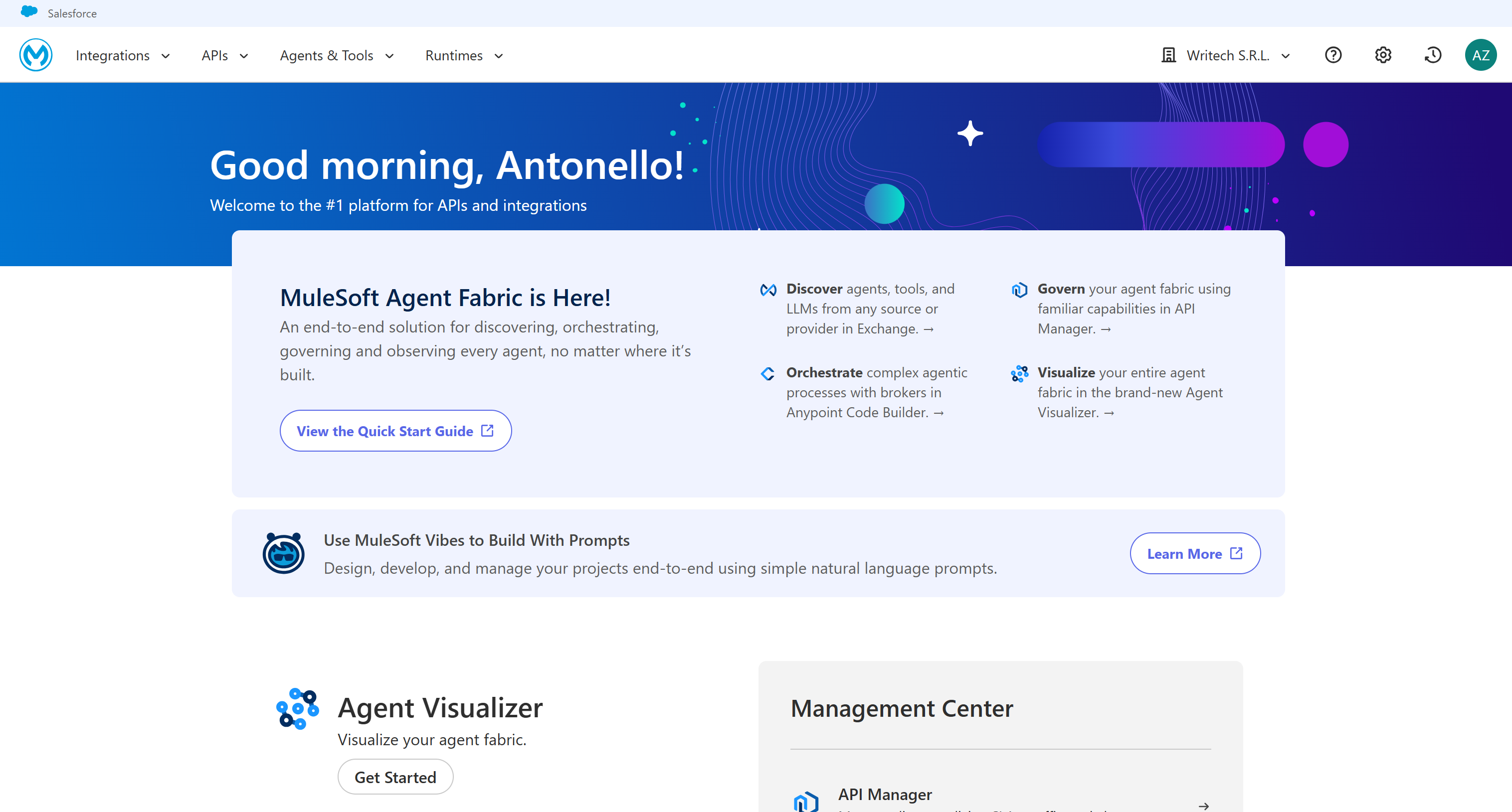 MuleSoft Anypoint Platform 控制面板