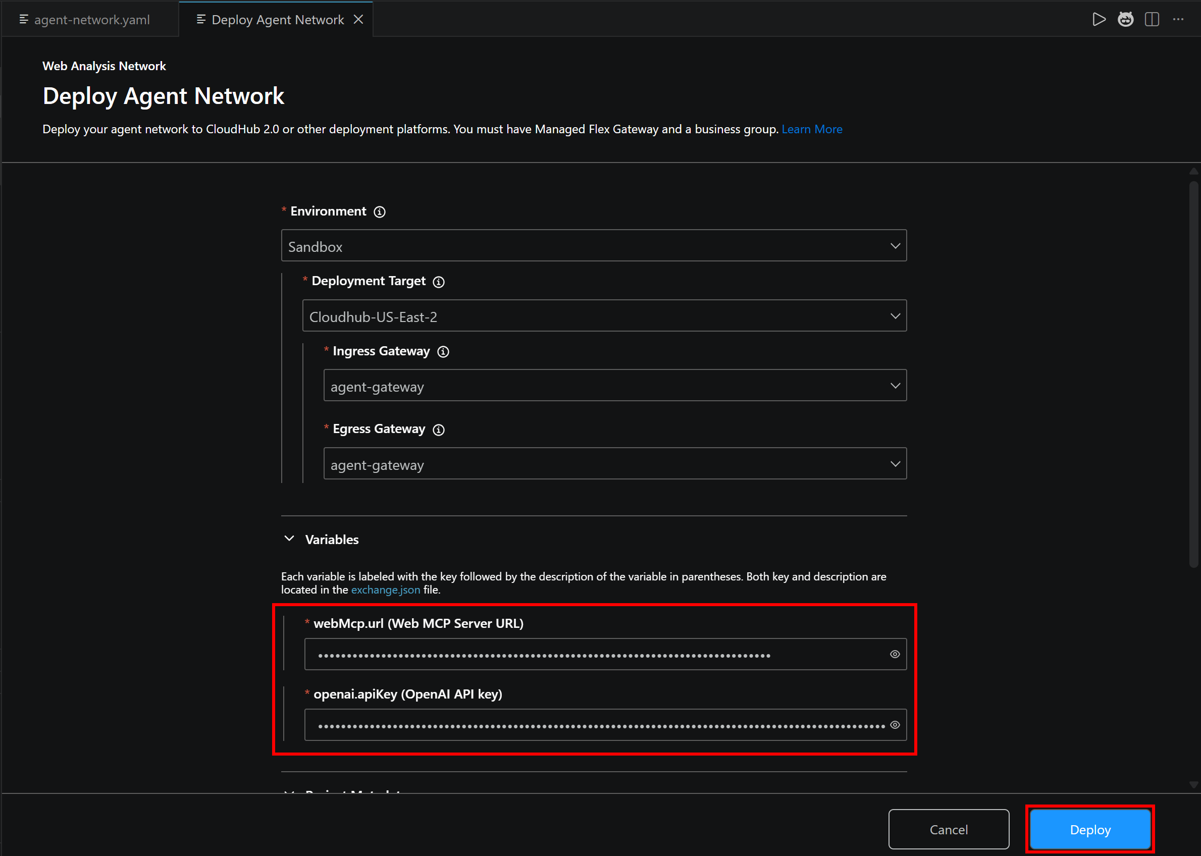 填写 “Deploy 智能体 Network” 表单