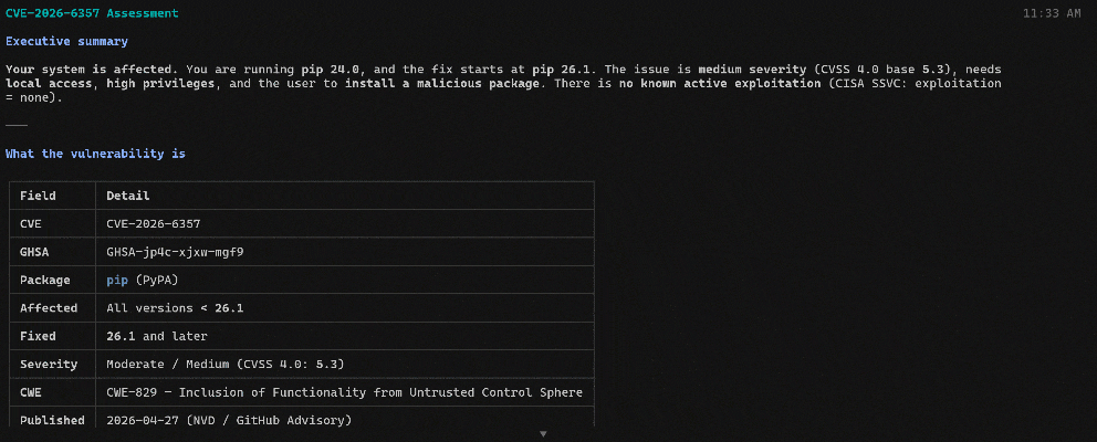 Grok Build 生成的用于处理该 CVE 的报告